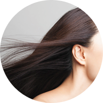 モルビドスチーム（パルッキー）